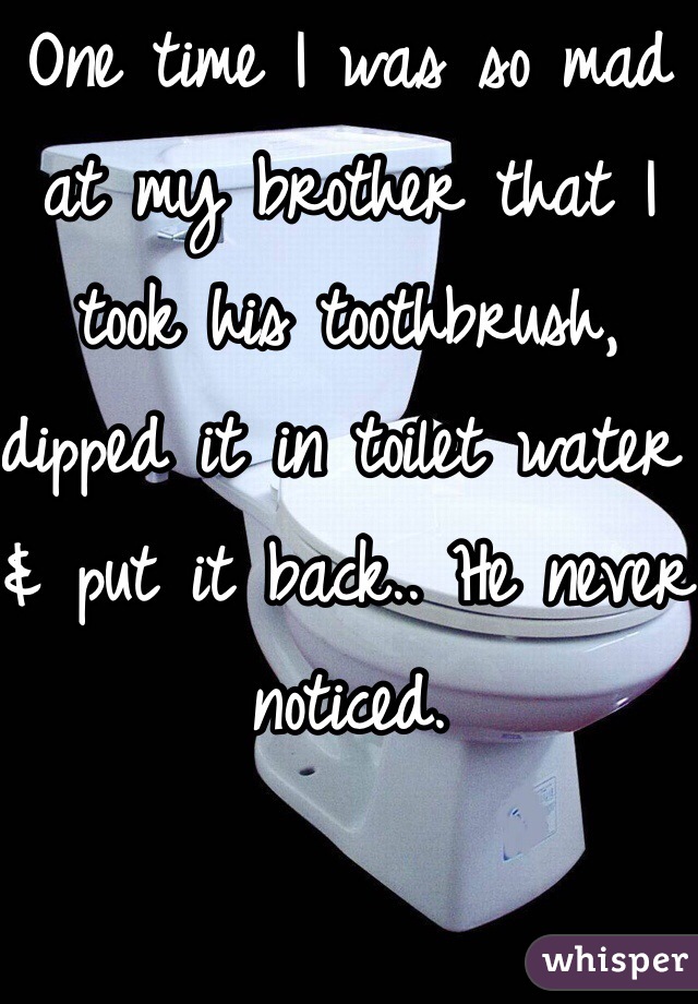 One time I was so mad at my brother that I took his toothbrush, dipped it in toilet water & put it back.. He never noticed.