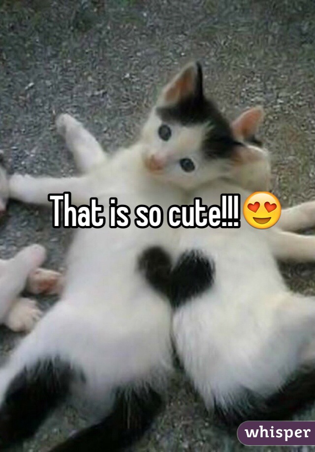 That is so cute!!!😍