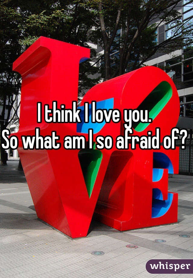 I think I love you. 
So what am I so afraid of? 