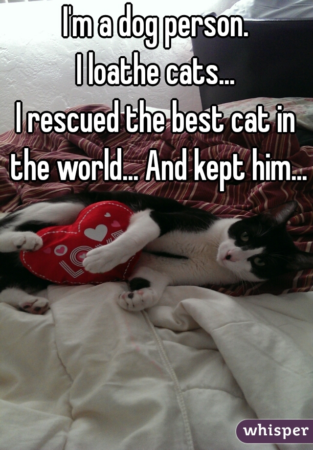 I'm a dog person.
I loathe cats...
I rescued the best cat in the world... And kept him...