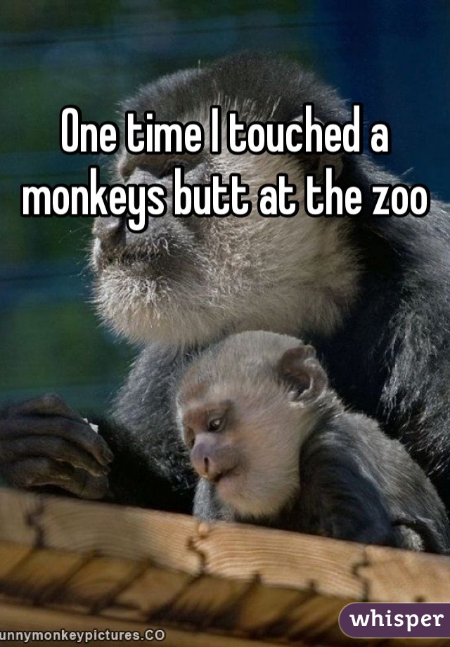 One time I touched a monkeys butt at the zoo