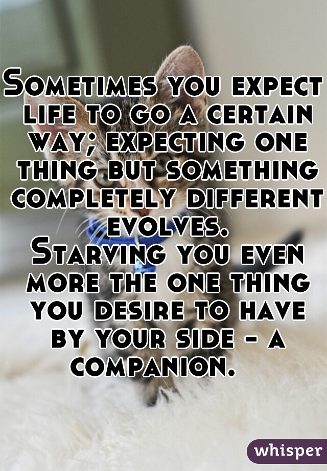 Sometimes you expect life to go a certain way; expecting one thing but something completely different evolves.


 Starving you even more the one thing you desire to have by your side - a companion.   