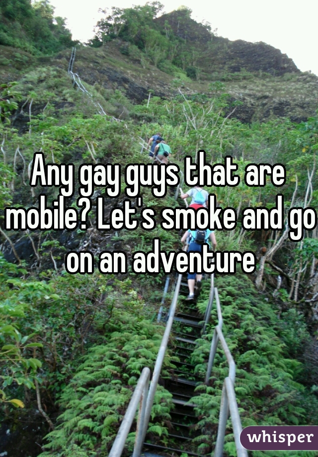 Any gay guys that are mobile? Let's smoke and go on an adventure
