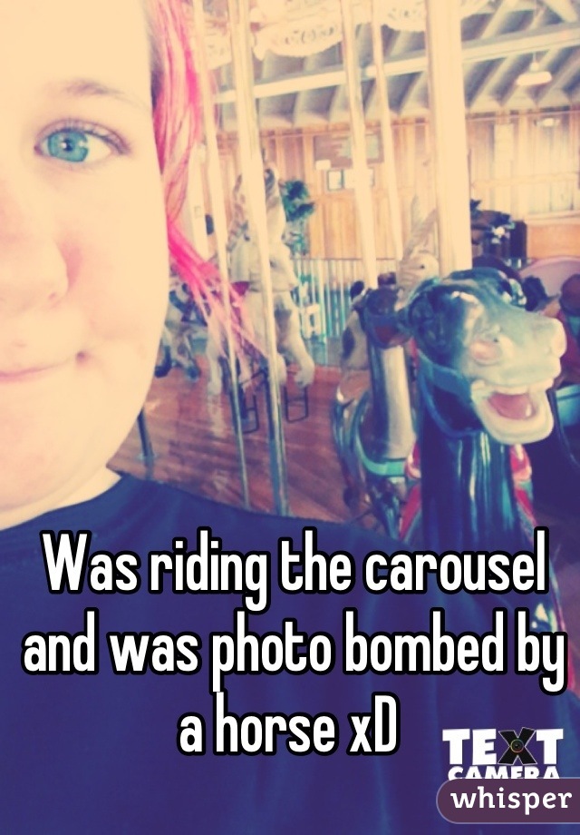 Was riding the carousel and was photo bombed by a horse xD 