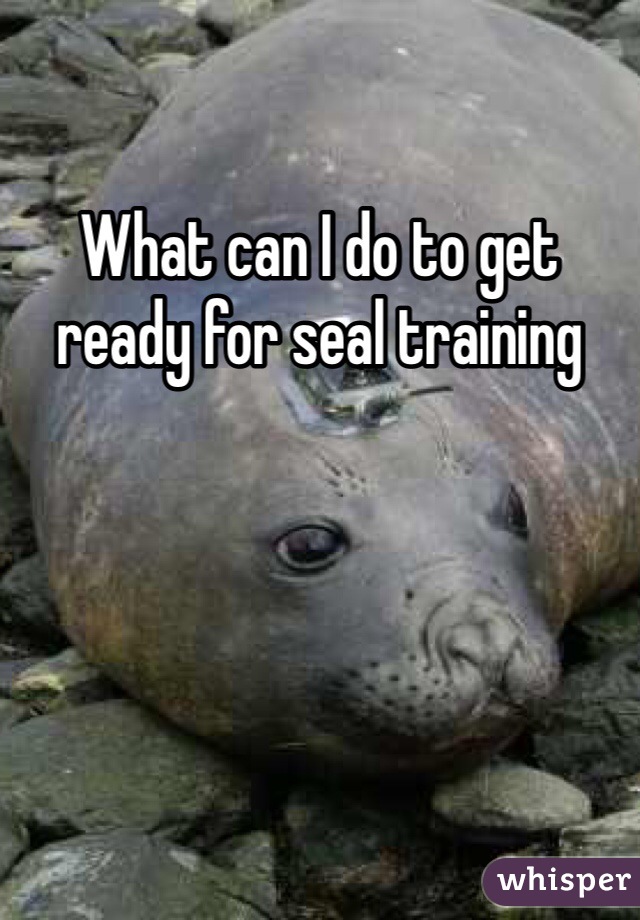 What can I do to get ready for seal training