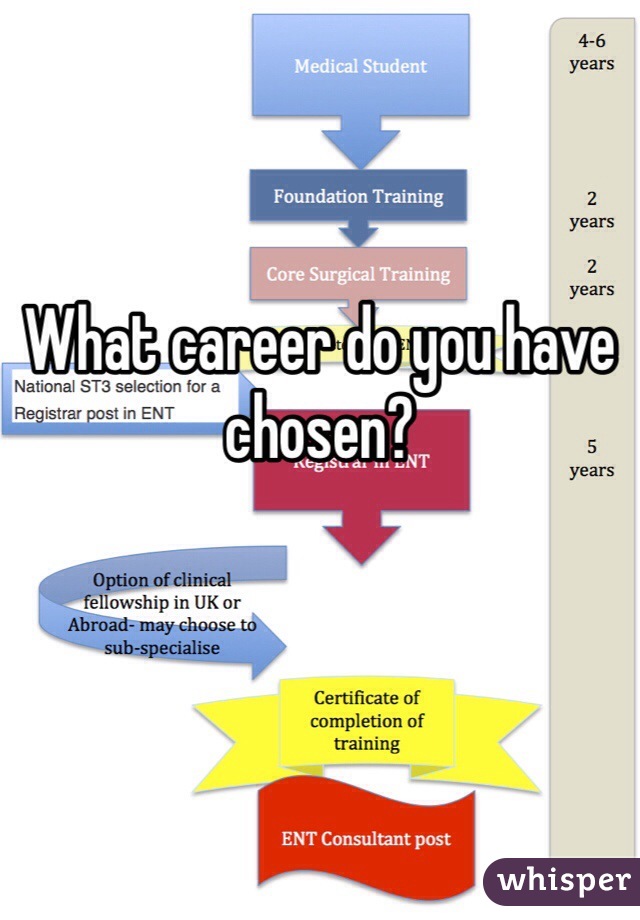 What career do you have chosen?