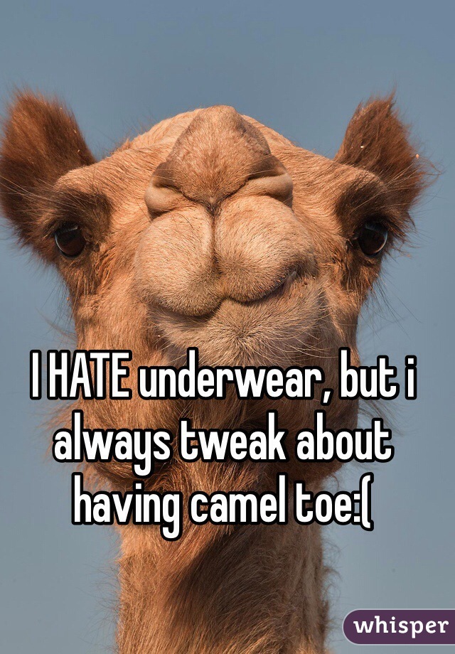 I HATE underwear, but i always tweak about having camel toe:(  