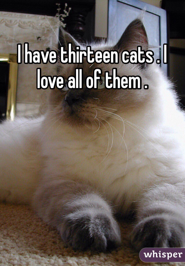 I have thirteen cats . I love all of them . 
