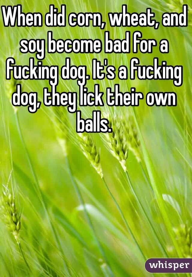 When did corn, wheat, and soy become bad for a fucking dog. It's a fucking dog, they lick their own balls. 