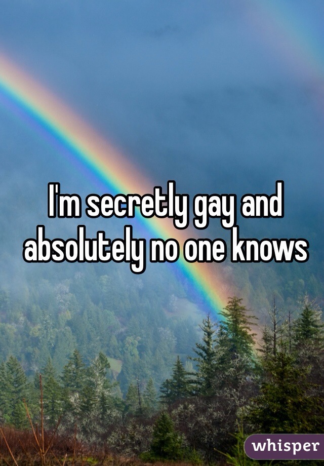I'm secretly gay and absolutely no one knows