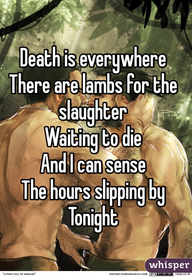 Death is everywhere
There are lambs for the slaughter
Waiting to die
And I can sense
The hours slipping by
Tonight