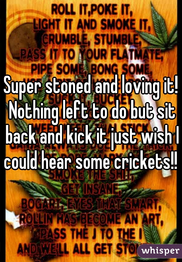 Super stoned and loving it! Nothing left to do but sit back and kick it just wish I could hear some crickets!! 