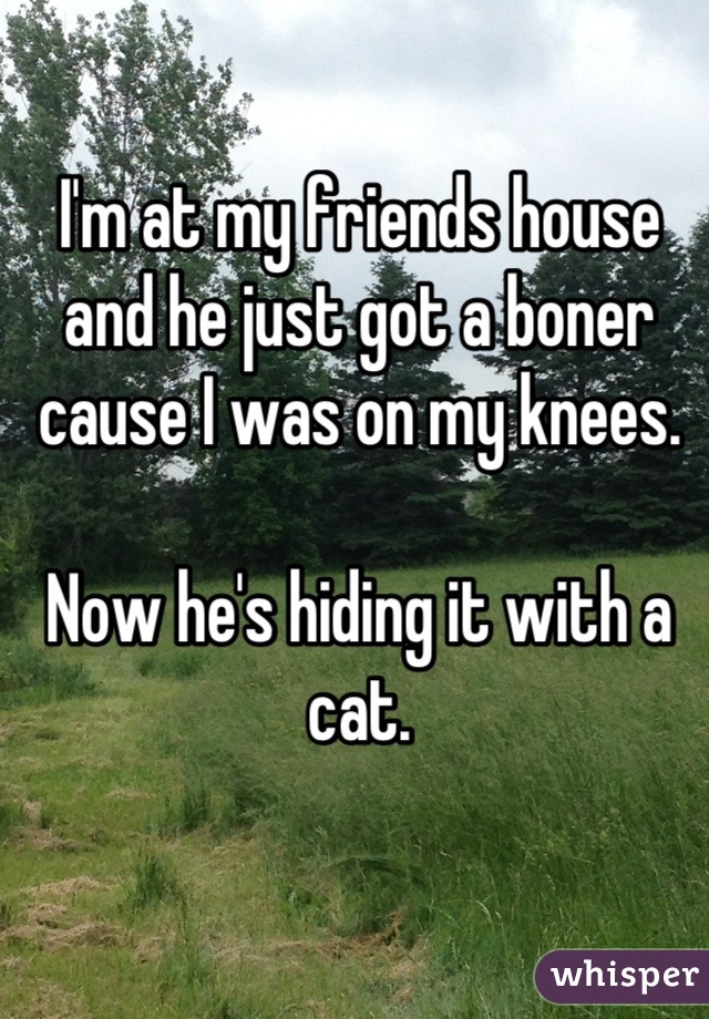 I'm at my friends house and he just got a boner cause I was on my knees.

Now he's hiding it with a cat.