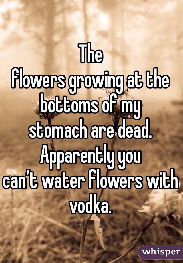 The
flowers growing at the bottoms of my 
stomach are dead. Apparently you 
can’t water flowers with vodka.