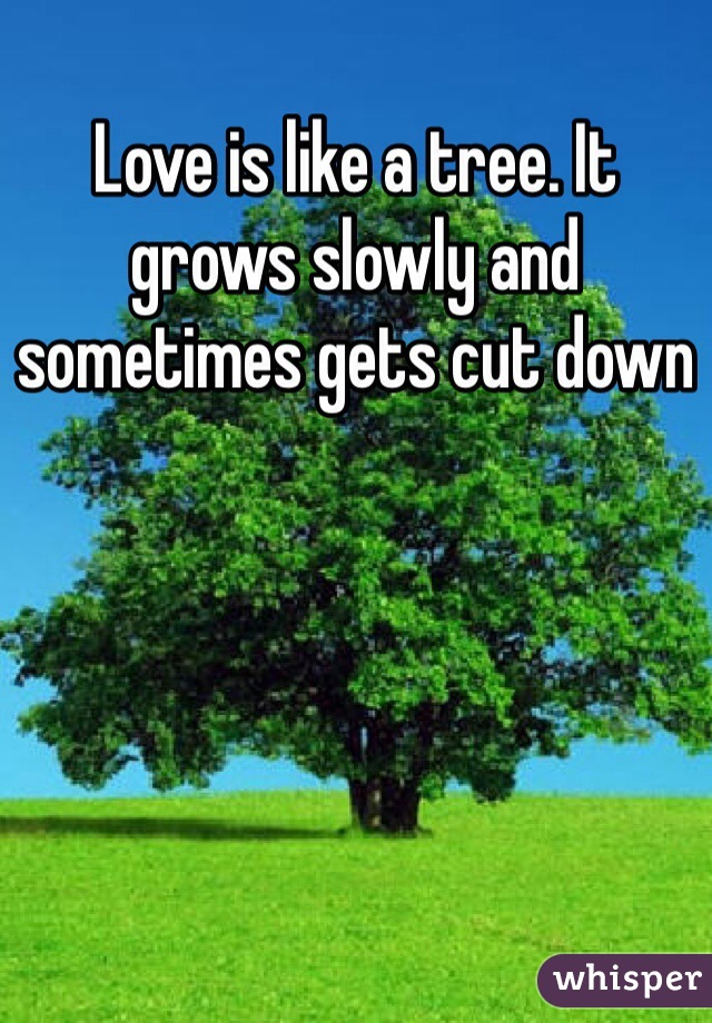 Love is like a tree. It grows slowly and sometimes gets cut down