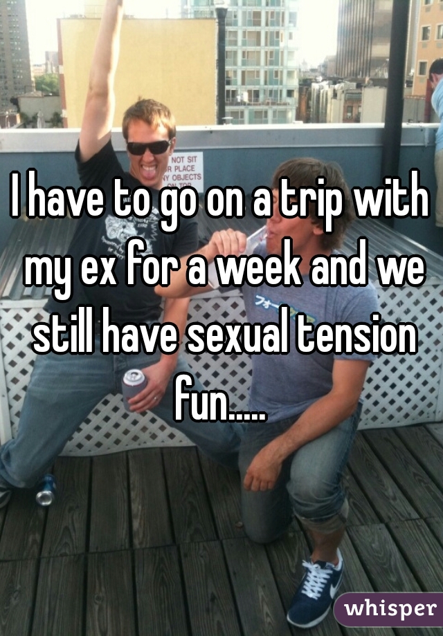 I have to go on a trip with my ex for a week and we still have sexual tension fun..... 