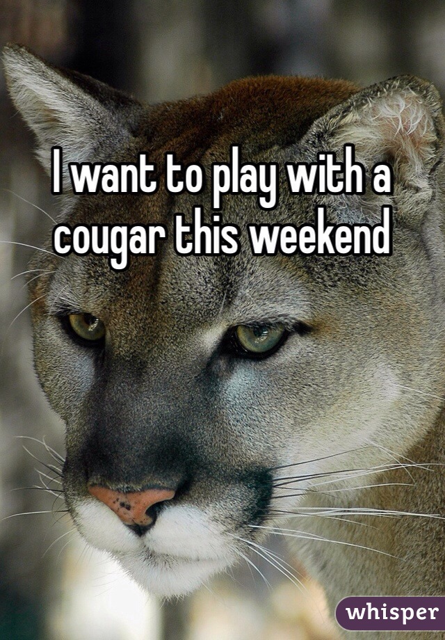 I want to play with a cougar this weekend