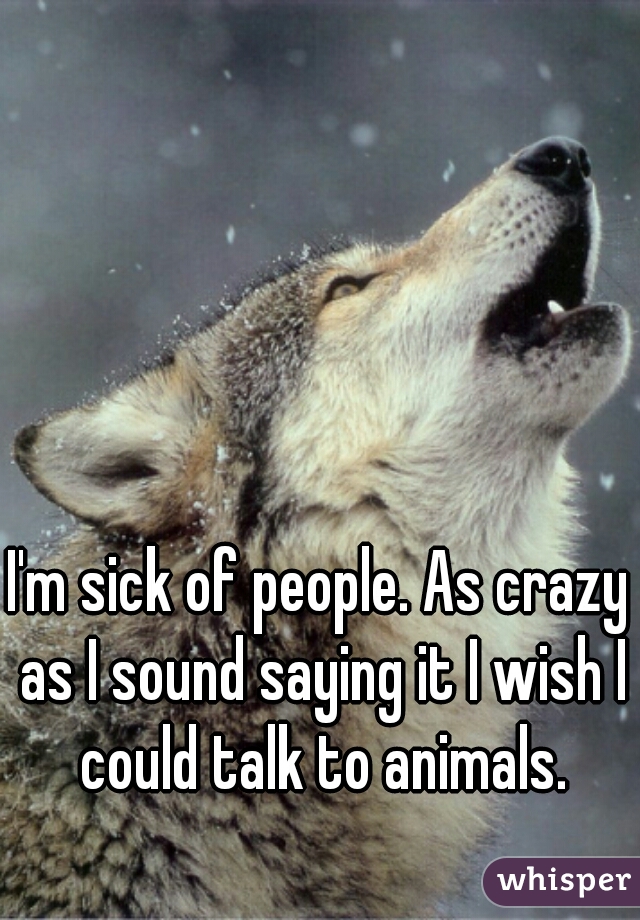 I'm sick of people. As crazy as I sound saying it I wish I could talk to animals.