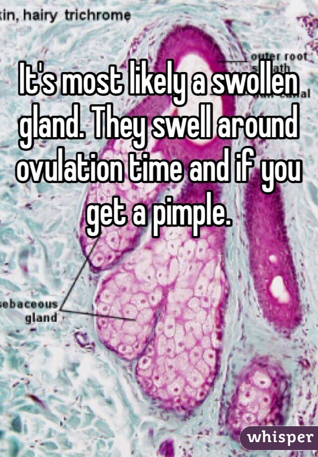 It's most likely a swollen gland. They swell around ovulation time and if you get a pimple. 
