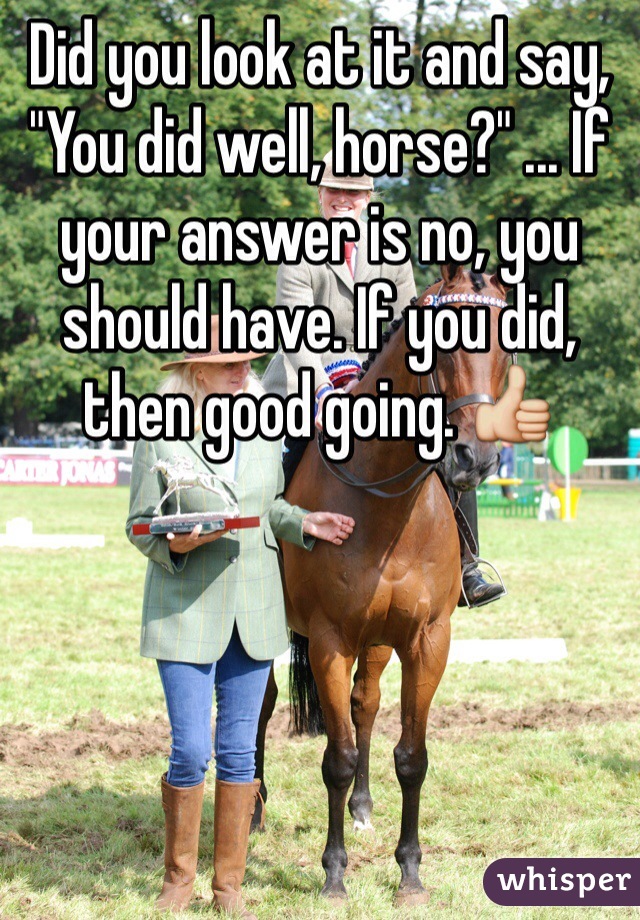 Did you look at it and say, "You did well, horse?" ... If your answer is no, you should have. If you did, then good going. 👍