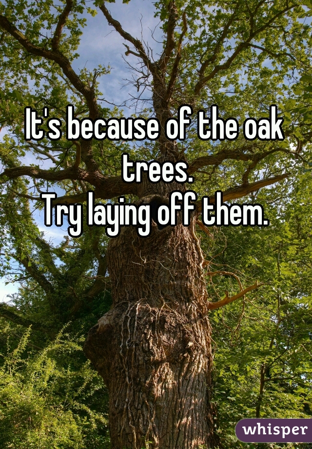 It's because of the oak trees.
Try laying off them.