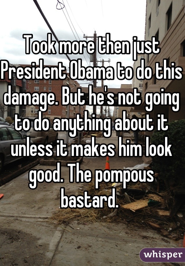 Took more then just President Obama to do this damage. But he's not going to do anything about it unless it makes him look good. The pompous bastard. 