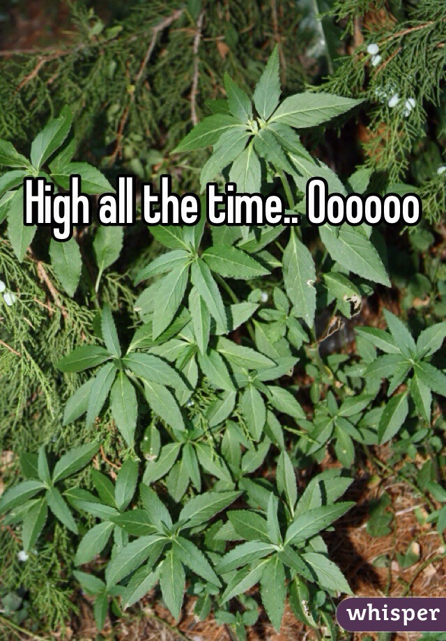 High all the time.. Oooooo