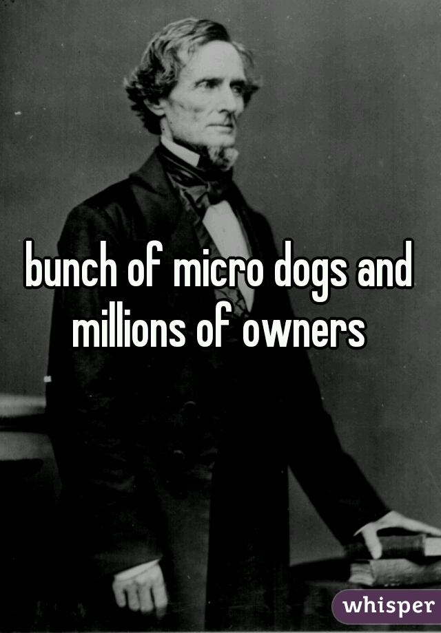 bunch of micro dogs and millions of owners 