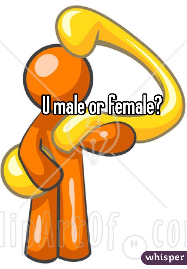 U male or female?