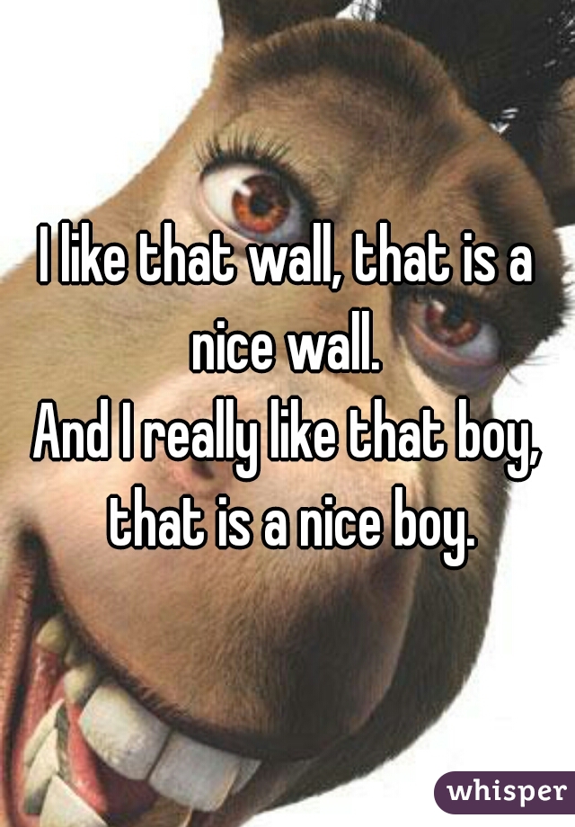 I like that wall, that is a nice wall. 

And I really like that boy, that is a nice boy.
