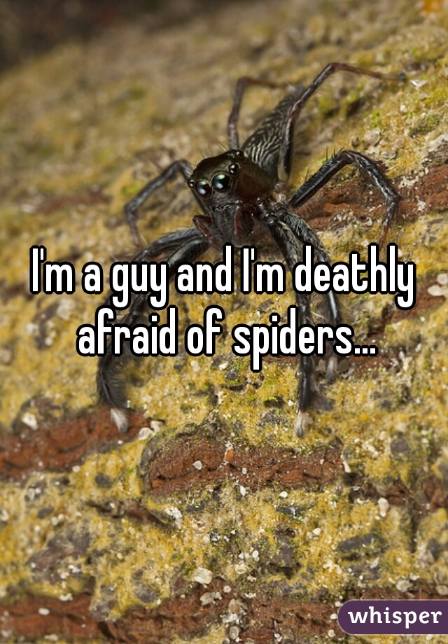 I'm a guy and I'm deathly afraid of spiders...