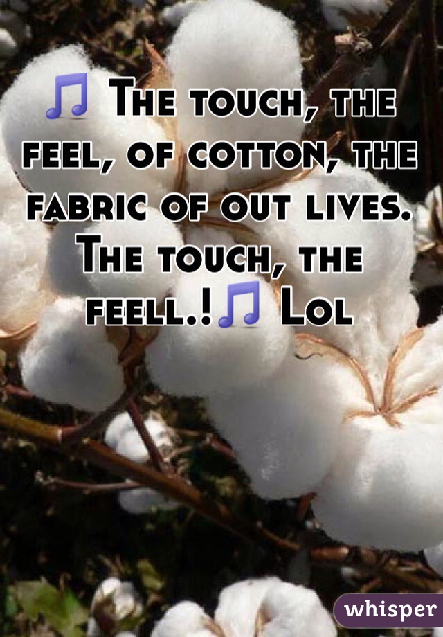 🎵 The touch, the feel, of cotton, the fabric of out lives. The touch, the feell.!🎵 Lol 