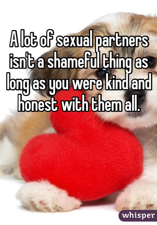 A lot of sexual partners isn't a shameful thing as long as you were kind and honest with them all.