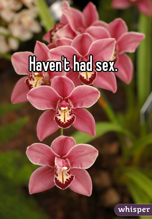 Haven't had sex.