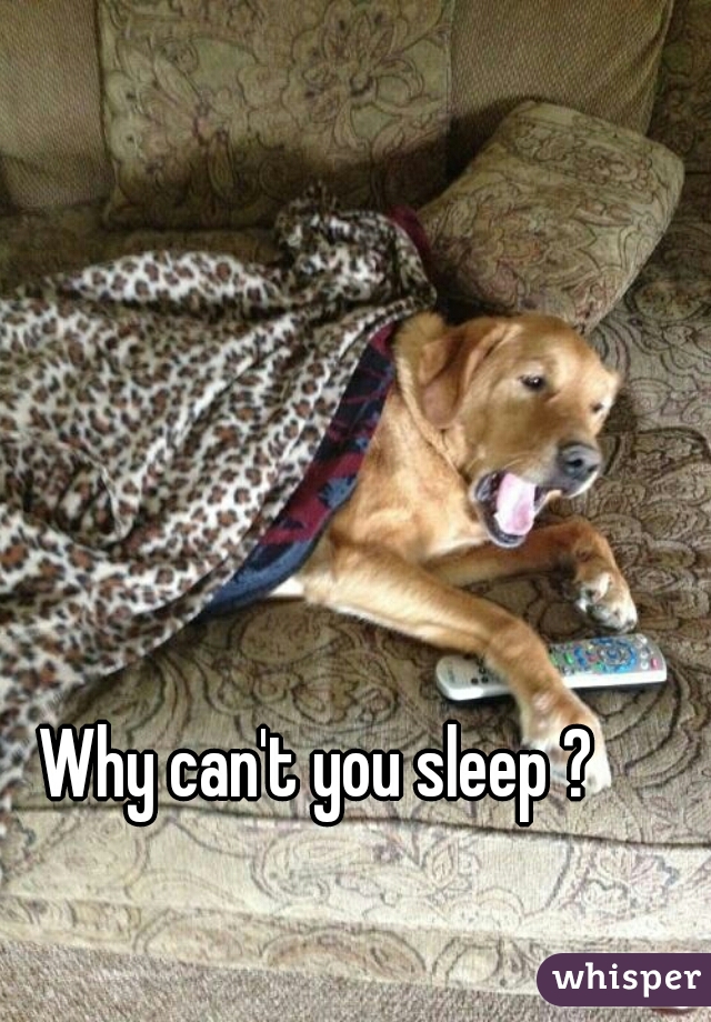 Why can't you sleep ?