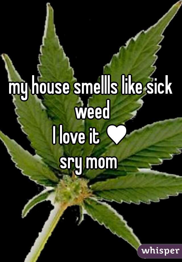 my house smellls like sick weed
I love it ♥
sry mom 