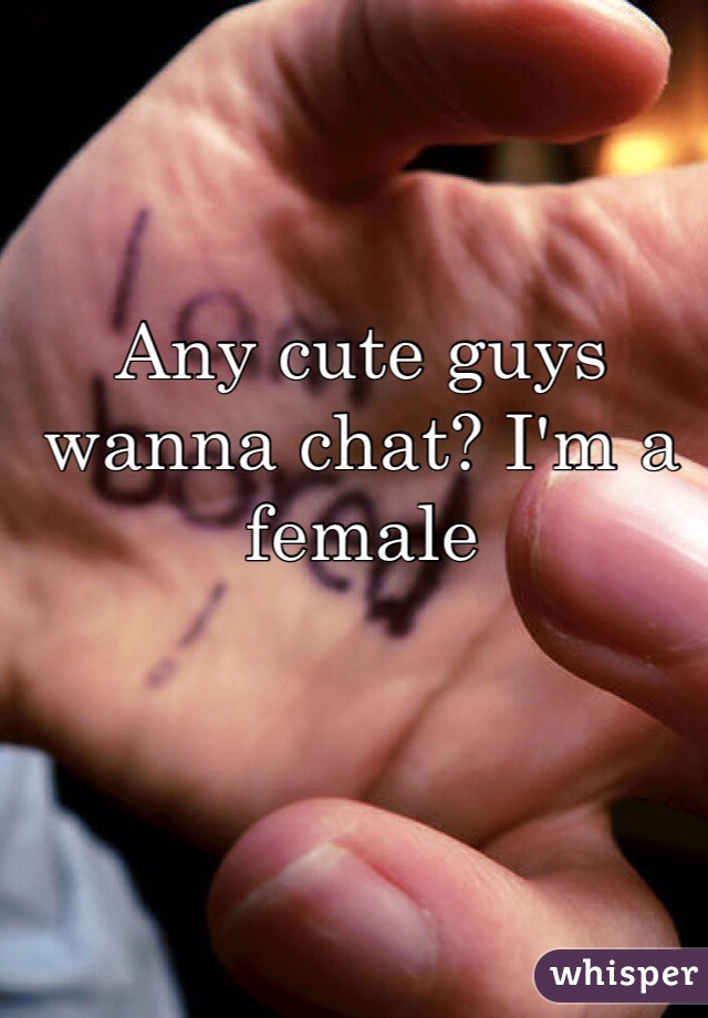 Any cute guys wanna chat? I'm a female