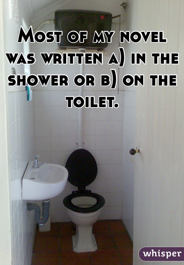 Most of my novel was written a) in the shower or b) on the toilet.
