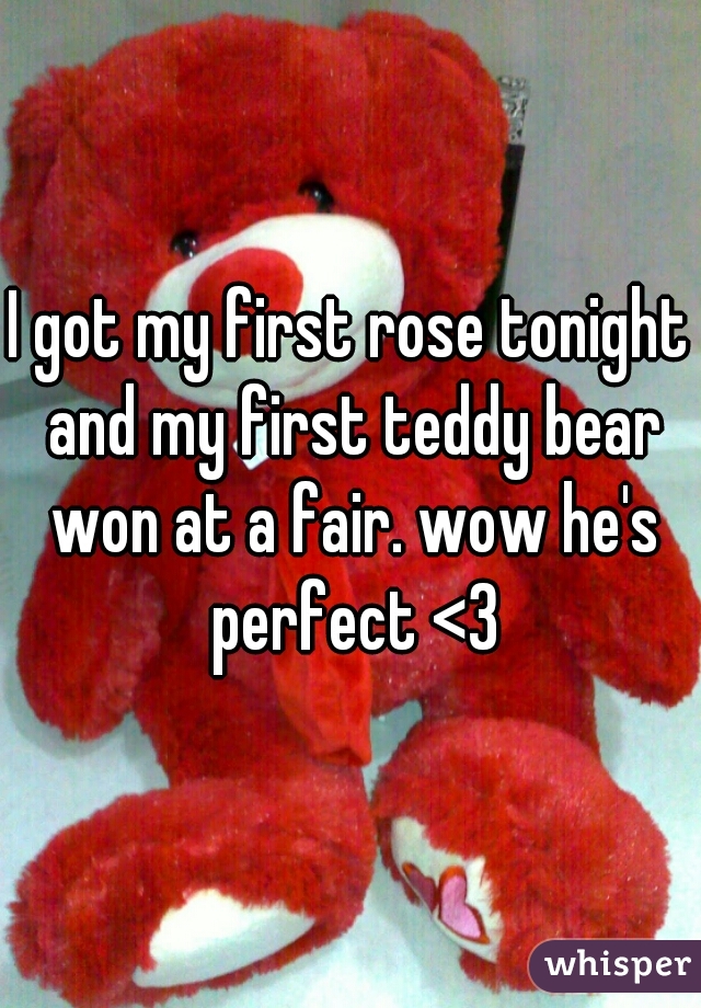 I got my first rose tonight and my first teddy bear won at a fair. wow he's perfect <3
