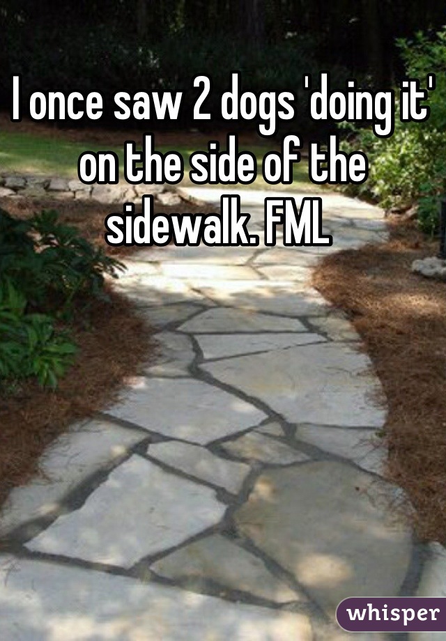 I once saw 2 dogs 'doing it' on the side of the sidewalk. FML 