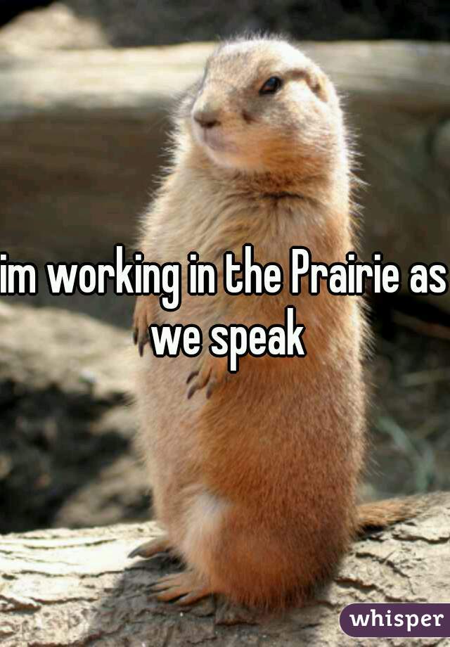 im working in the Prairie as we speak