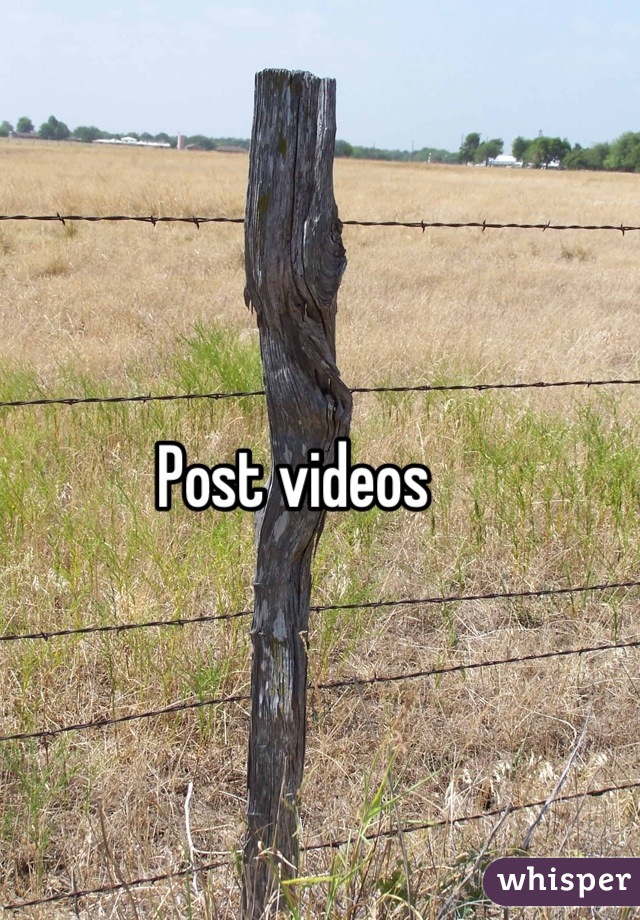 Post videos