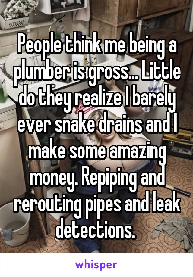 People think me being a plumber is gross... Little do they realize I barely ever snake drains and I make some amazing money. Repiping and rerouting pipes and leak detections. 