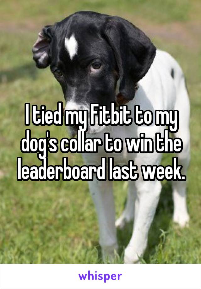 I tied my Fitbit to my dog's collar to win the leaderboard last week.