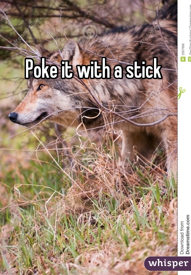 Poke it with a stick 