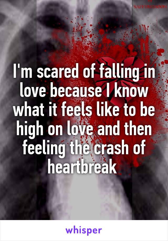 I'm scared of falling in love because I know what it feels like to be high on love and then feeling the crash of heartbreak 