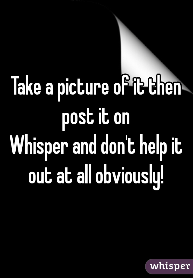 Take a picture of it then post it on 
Whisper and don't help it out at all obviously! 