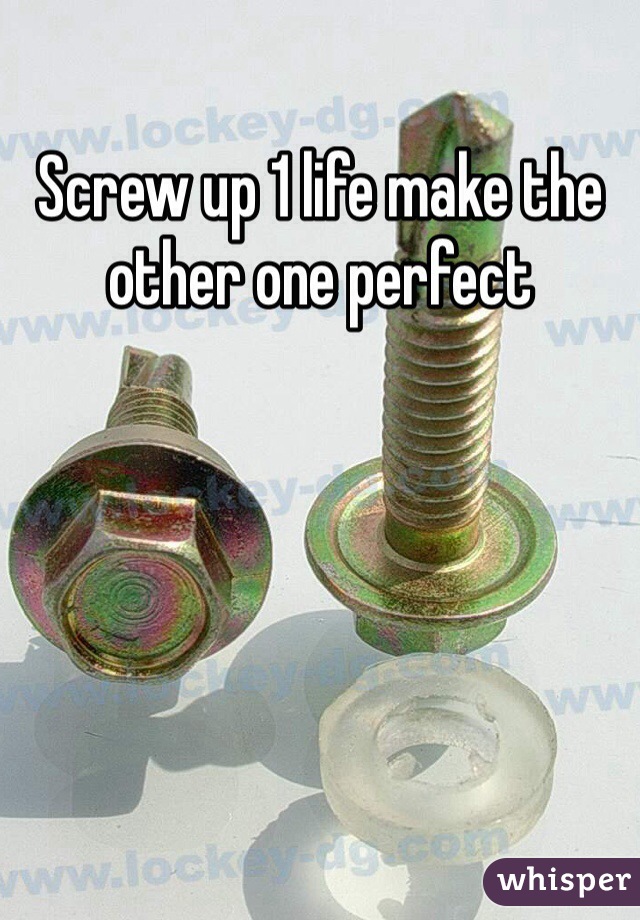 Screw up 1 life make the other one perfect