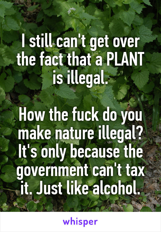 I still can't get over the fact that a PLANT is illegal.

How the fuck do you make nature illegal? It's only because the government can't tax it. Just like alcohol.