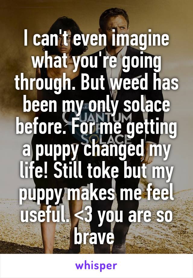 I can't even imagine what you're going through. But weed has been my only solace before. For me getting a puppy changed my life! Still toke but my puppy makes me feel useful. <3 you are so brave 